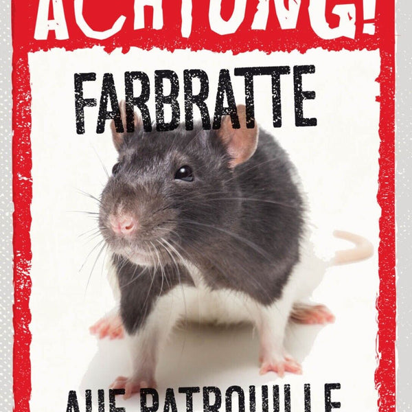 Schild Achtung Farbratte Auf Patrouille Haus Tier 12x18 20x30 30x40 Blech/Holz