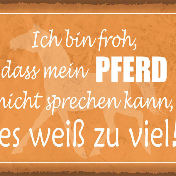 Schild Ich Bin Froh Mein Pferd Nicht Sprechen Kann 12x18 20x30 30x40 Blech/Holz