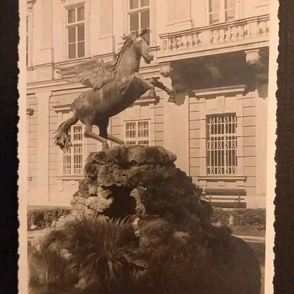 Salzburg Mirabellgarten Pferd 165338 gr K