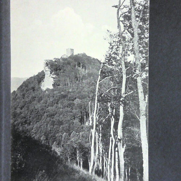 Blick auf Trifels Berg Wald 140467 jw J