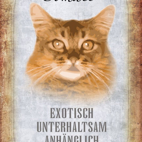 Schild Spruch Somali Katze Steckbrief Exotisch Sanft  JW