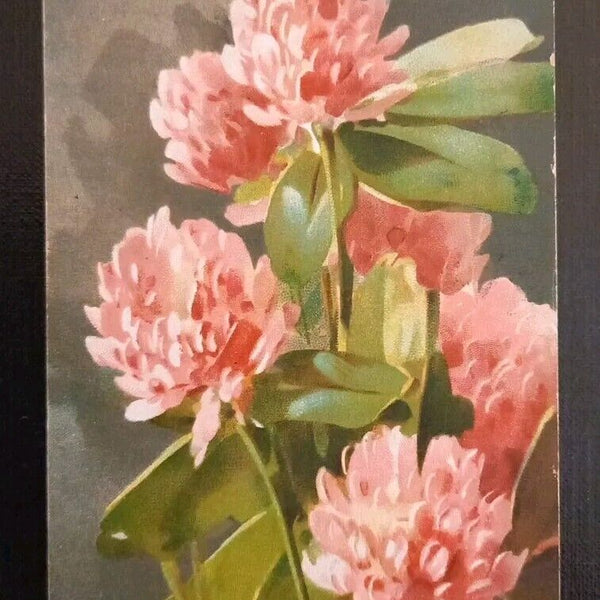 Blumen 5936 gr I