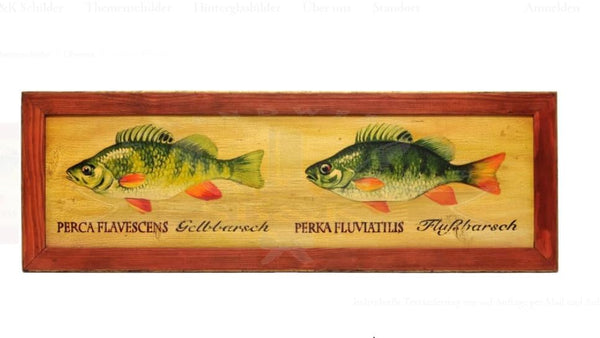 KuK Nostalgie Holzschild Fische Goldbarsch Barsch Flußbarsch (Größe: 19x23)