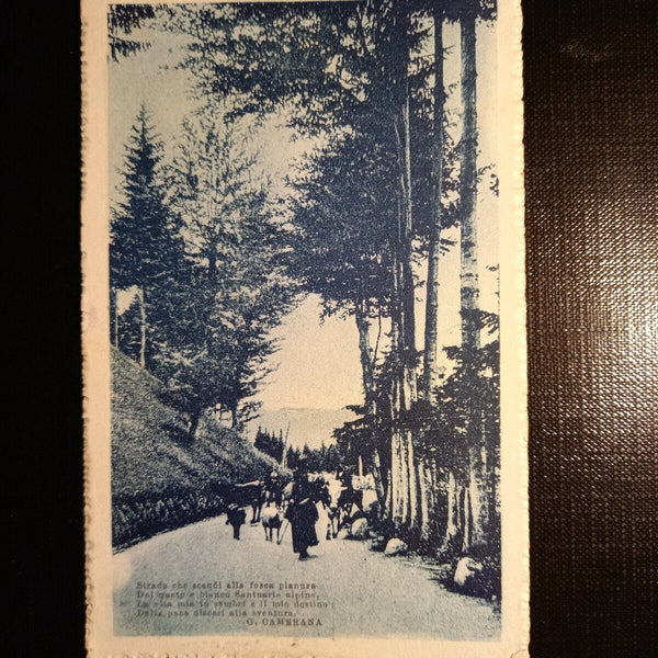 Strada Che Scendi alla f.pianura 402793 gr C