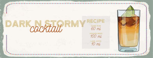 Schild Dark`n`Stormy Cocktail Rezept Bar Alkohol Drink Rum 27x10 Blech od.Holz