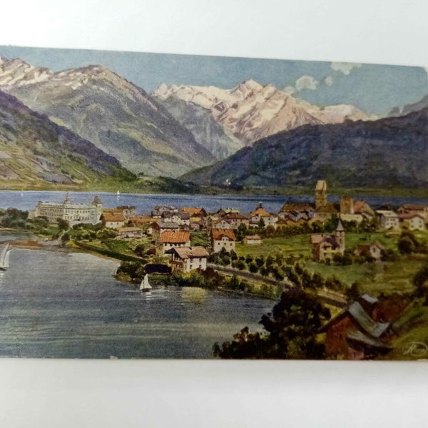 Alpenansicht Flussufer Zell am See 80063