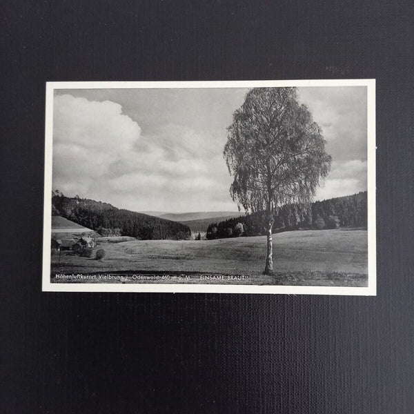 Vielbrunn im Odenwald 400526 gr A