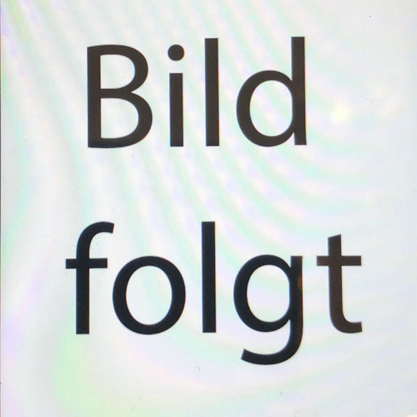 Nostalgie Holzschild Bayern Hochlöblicher Magister