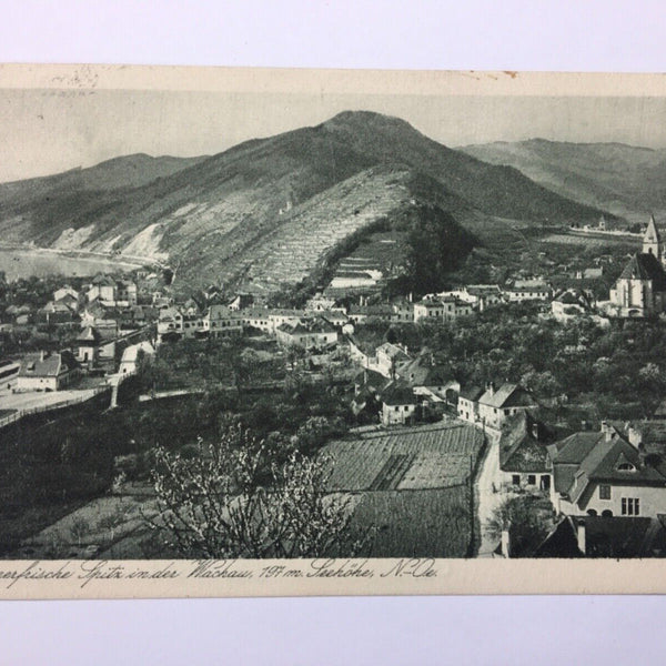 Spitz in der Wachau 616 ShNö