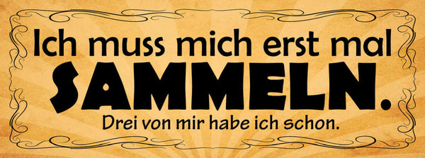 Schild Ich Muss Mich Erstmal Sammeln 3 Von Mir Hab Ich Schon 27x10 Blech od.Holz