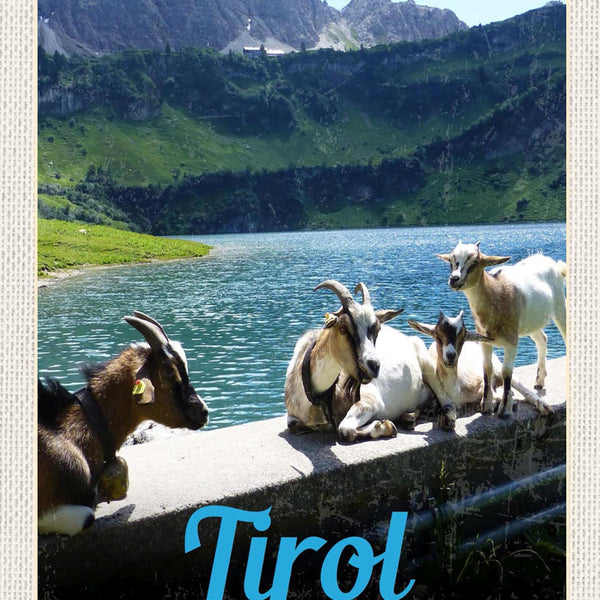 Schild Spruch Tirol Österreich Berge Bergsee Ziegen JW