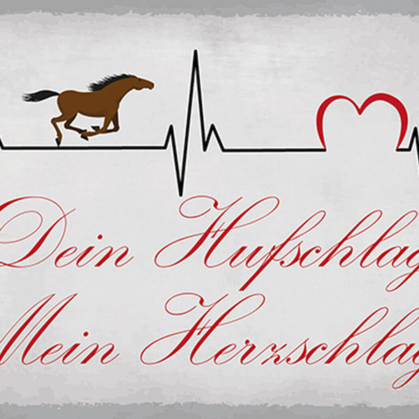 Schild Spruch Dein Hufschlag Mein Herzschlag Pferd Liebe JW