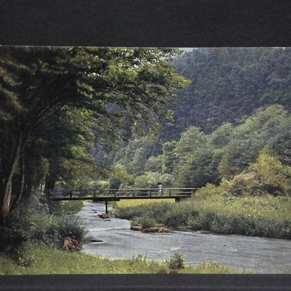 Künstlerkarte Nr 2936 Serie 201 Bach Uferweg Brücke 30010 jw J