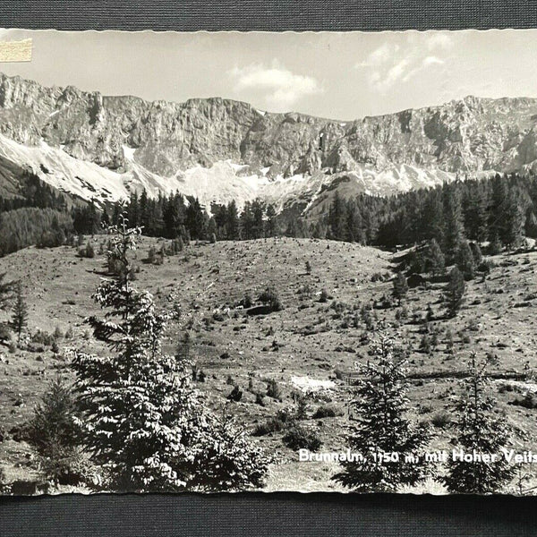 Brunnalm Hoher Veitsch Berg Gebirge Mürztal Steiermark Österreich 401024 TH A