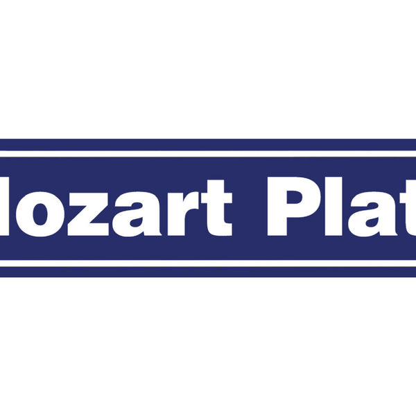 Schild Mozart Platz Salzburg Altstadt Amadeus Ort Straße 46 x 10 Blech od. Holz