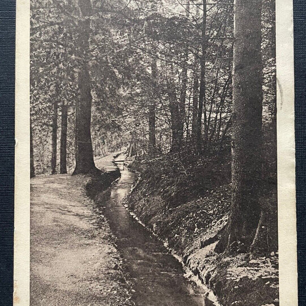 Bad Harzburg Philosophenweg Wald Bach Wandern Niedersachsen Deutschland 400985 A