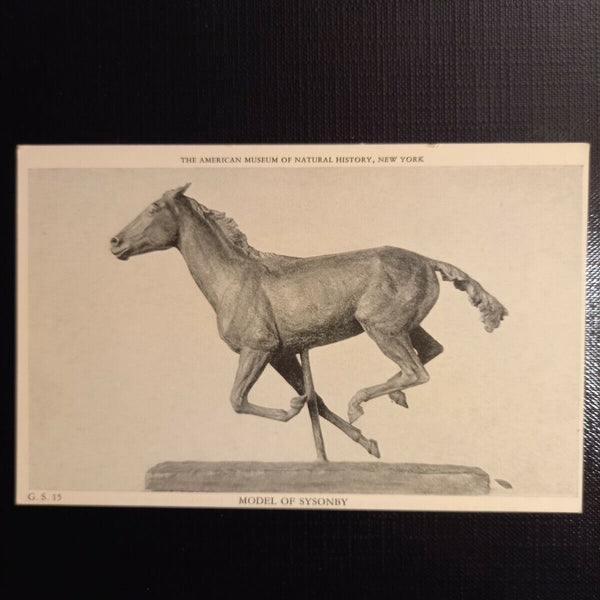New York,  Model of Sysonby. 400095 gr