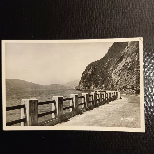 Lac du Bourget 400084 gr