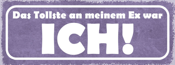 Schild Das Tollste An Meinem Ex War Ich Liebe Ehe Paar 27x10 Blech od.Holz