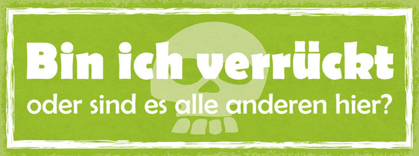 Schild Bin Ich Verrückt Oder Sind Es Die Anderen Irre 27x10 Blech od.Holz