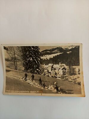 Niederösterreich,  Lackenhof a.Ötscher Skifahren Ski Skifahrer 541
