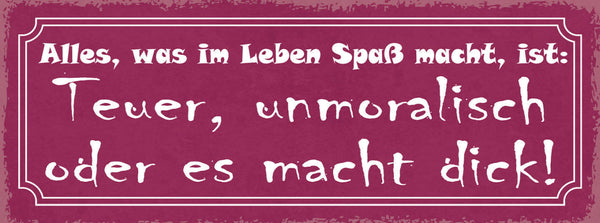 Schild Alles Was Im Leben Spaß Macht Ist Teuer Unmoralisch Oder Es Macht Dick