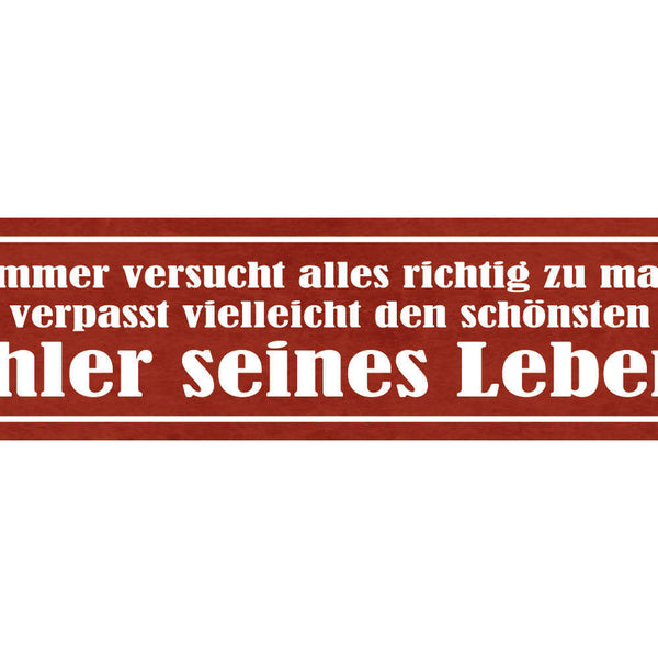 Schild Wer Versucht Alles Richtig Zu Machen Verpasst Schönsten Fehler Des Lebens