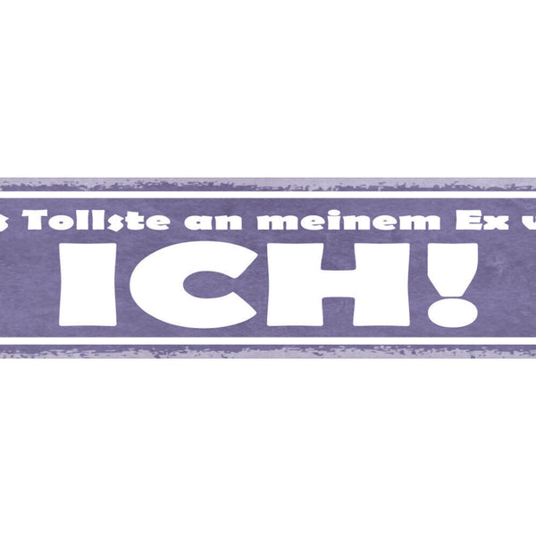 Schild Das Tollste An Meinem Ex War Ich Ehe Beziehung 46 x 10 Blech od. Holz