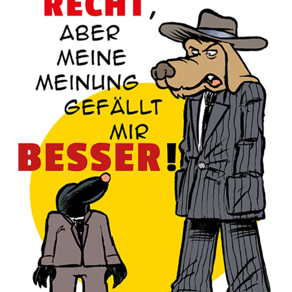 Schild Spruch Ich weiß du hast recht aber meine Meinung gefällt mir besser JW