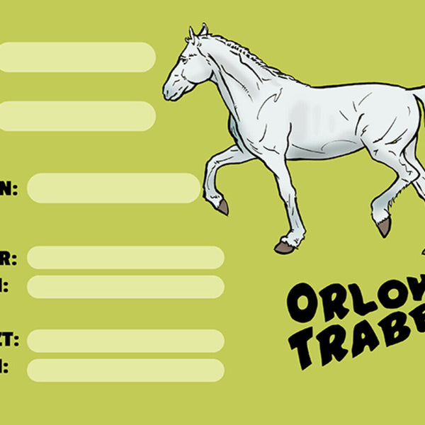Schild Spruch Orlow Traber Pferd Steckbrief JW