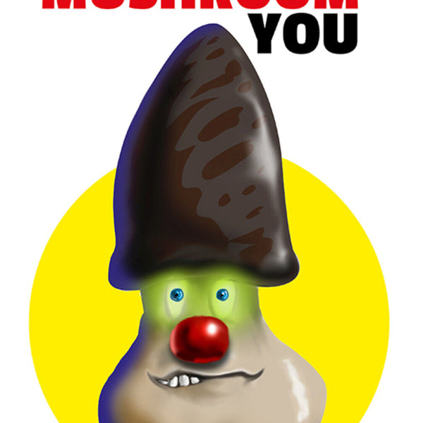 Schild Spruch You Lucky Mushroom you Du Glückspilz du Bad English JW