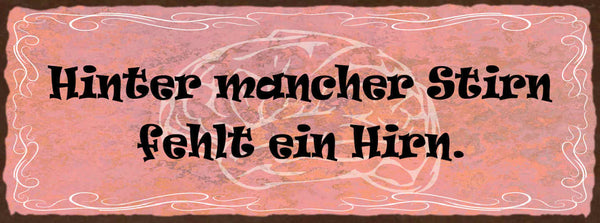 Schild Hinter Mancher Stirn Fehlt Ein Hirn Gehirn Dumm 27x10 Blech od.Holz