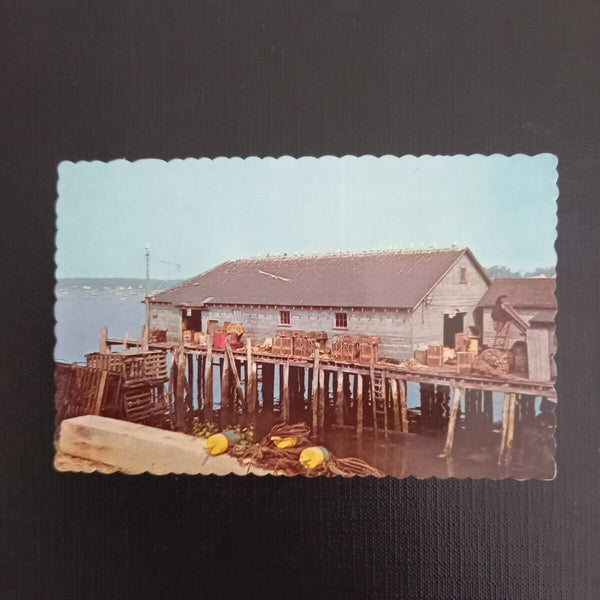 Lobster Wharf  400353  F