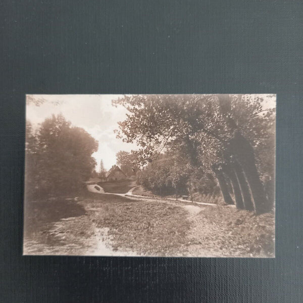 Landschaft Wald  400838 gr A