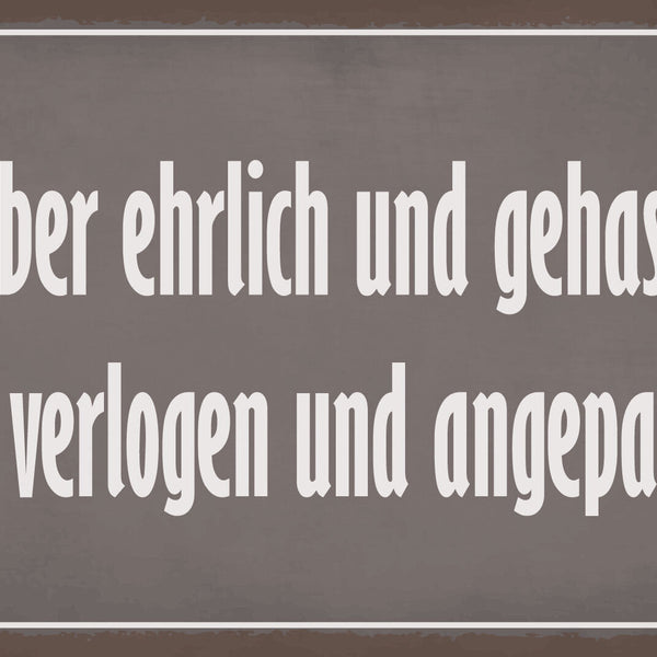 Schild Ehrlich Hass Verlogen Angepasst  12x18 / 20x30 / 30x40 Blech od. Holz