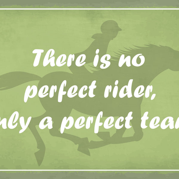 Schild Perfect Rider Team Pferd Reiten 12x18 / 20x30 / 30x40 Blech od. Holz