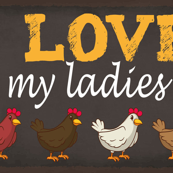 Schild Love my Ladies Hühner Hendl Stall 12x18 / 20x30 / 30x40 Blech od. Holz