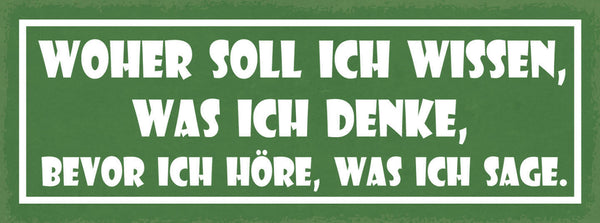 Schild Woher Soll Ich Wissen Was Ich Denke Bevor Ich Höre Was Ich Sage 27x10
