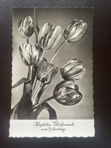 Herzlichen Glückwunsch zum Geburtstag, Blumen 400705 DN