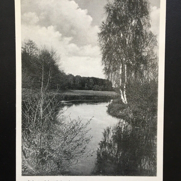 Böhmetal bei Waldrode - Fluss  - Heidekreis 922 TH