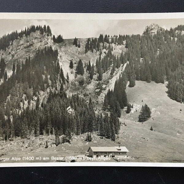 Freiburger Alpe am Bester - Oberstdorf - Bayr. Allgäu - Deutschland 400313 TH F