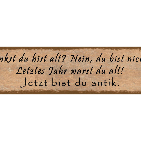 Schild Alt Alter Antik Jahr Geburtstag Leben Senioren 46 x 10 Blech od. Holz