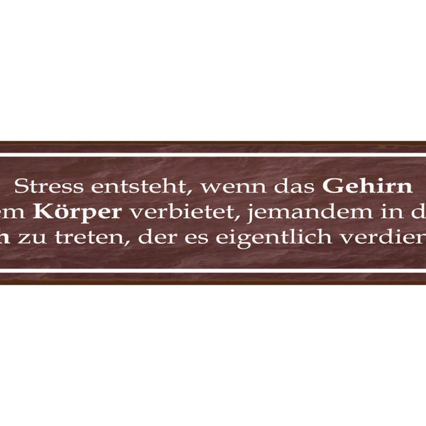 Schild Stress Entsteht Gehirn Hintern Tritt Ärger Frust 46 x 10 Blech od. Holz