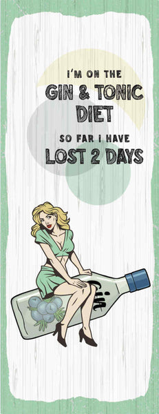 Schild I'm On A Gin & Tonic Diet So Far I Have Lost 2 Days 27x10 Blech od.Holz