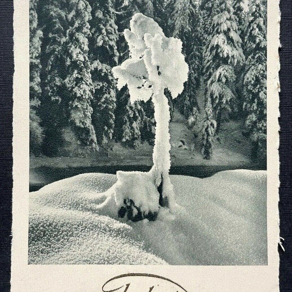 Frohes Weihnachtsfest Winter Landschaft Schnee Eis Wald Baum Tannen 410107 TH C
