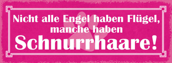 Schild Nicht Alle Engel Haben Flügel Manche Haben Schnurrhaare Katze Tier 27x10