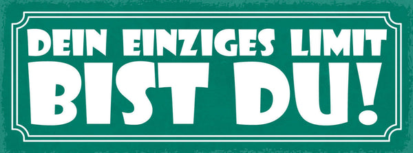 Schild Dein Einziges Limit Bist Du Leben Arbeit Sport 27x10 Blech od.Holz