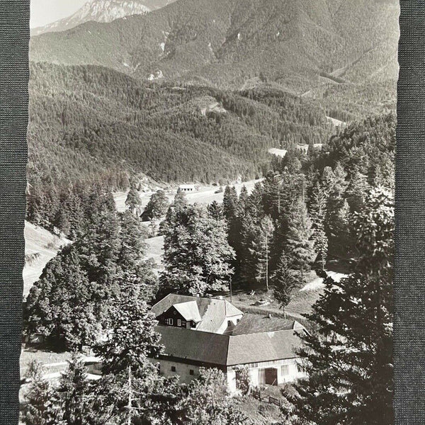 Alpengasthof Kalte Kuchl gg. Schneeberg Wirt Gebirge Niederösterreich 402677 C