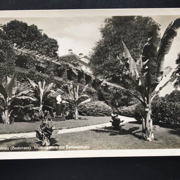 Insel Mainau - Bodensee - Musengarten mit Bananenhain - Park 180179 TH