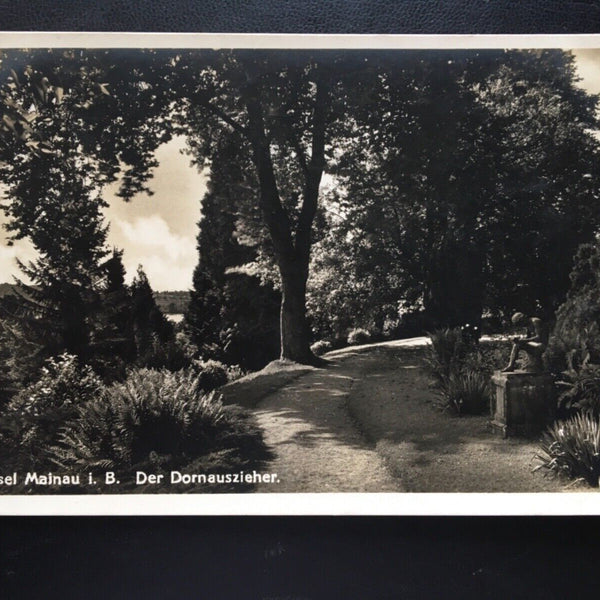 Insel Mainau im Bodensee - Der Dornauszieher - Statue - Baum 180181 TH